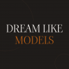 Dream Like Models logo.png