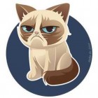 Фотография Rutor