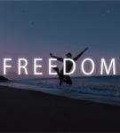 Фотография Freedom SPB