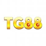 Фотография tg88z1com